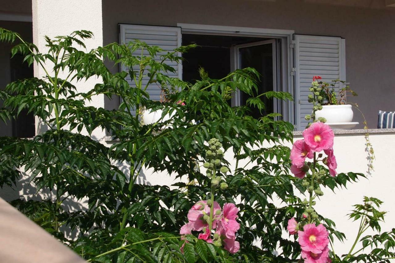 Open Hus Apartman Krvavica Kültér fotó