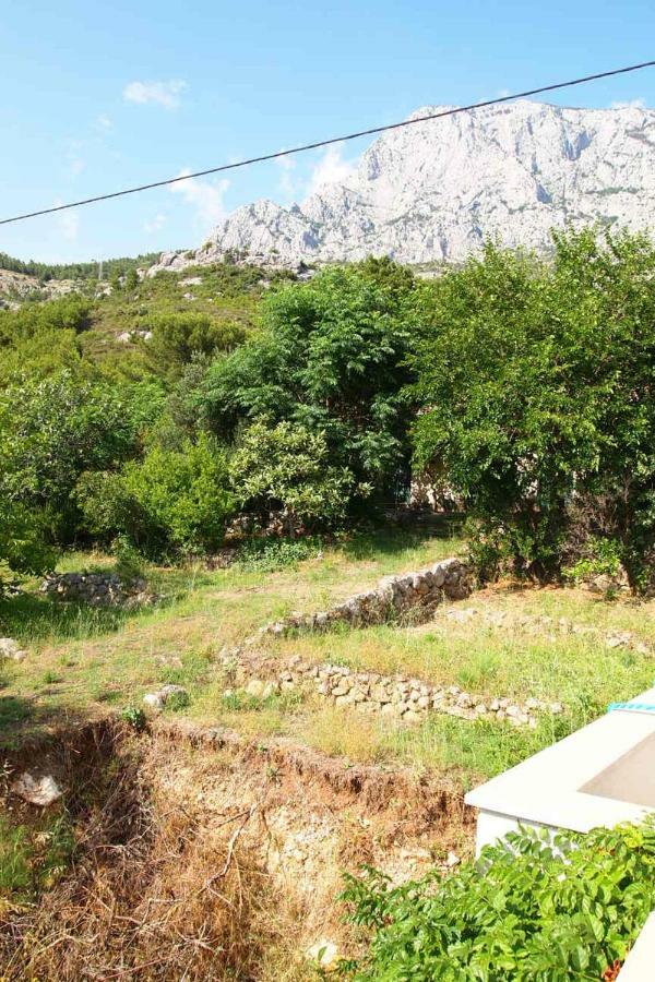 Open Hus Apartman Krvavica Kültér fotó
